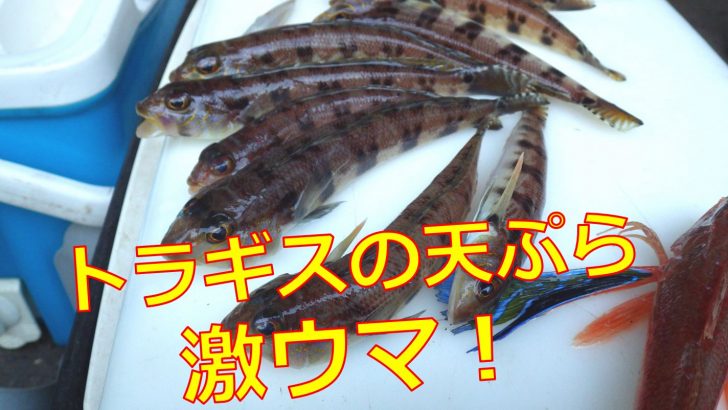 トラギスの食べ方と料理は さばき方と天ぷらの調理動画あり 海鮮アクアリウム 海の生き物 魚介料理を楽しむためのブログ