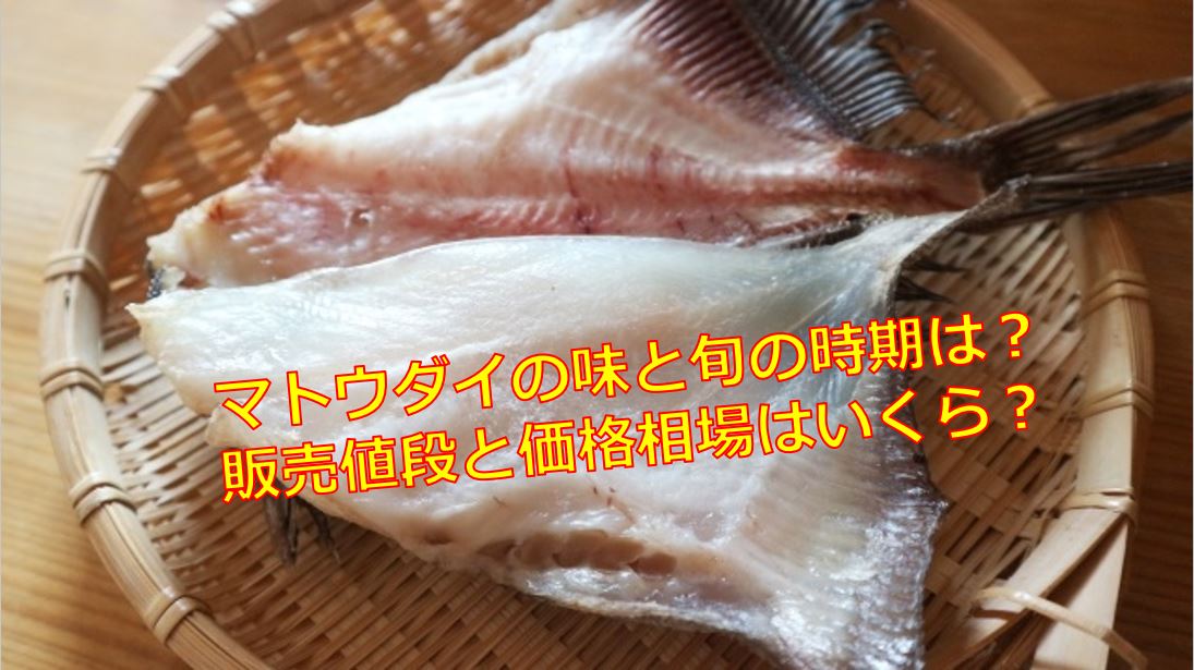マトウダイの味と旬の時期は 販売値段と価格相場はいくら 海鮮アクアリウム 海の生き物 魚介料理を楽しむためのブログ