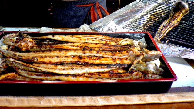 アナゴの生態と旬の時期は 販売値段と価格相場はいくら 海鮮アクアリウム 海の生き物 魚介料理を楽しむためのブログ