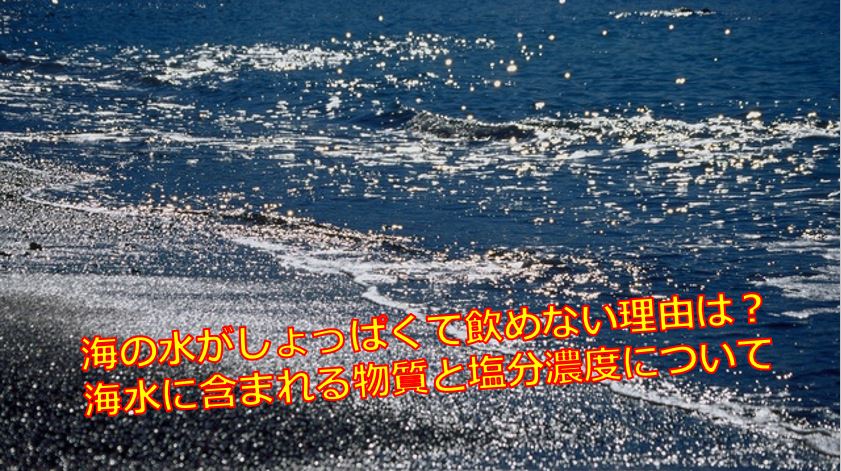 海の水がしょっぱくて飲めない理由は 海水に含まれる物質と塩分濃度について 海鮮アクアリウム 海の生き物 魚介料理を楽しむためのブログ