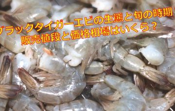 アカザエビの生態と旬の時期 販売値段と価格相場はいくら 海鮮アクアリウム 海の生き物 魚介料理を楽しむためのブログ