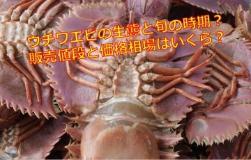 ロブスターに寿命がないのは嘘 不死の理由は脱皮にあるの 海鮮アクアリウム 海の生き物 魚介料理を楽しむためのブログ